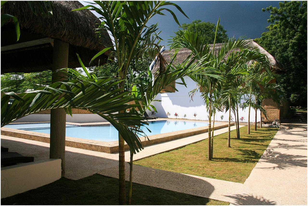 Hotel Panglao Bamboo Oasis Extérieur photo